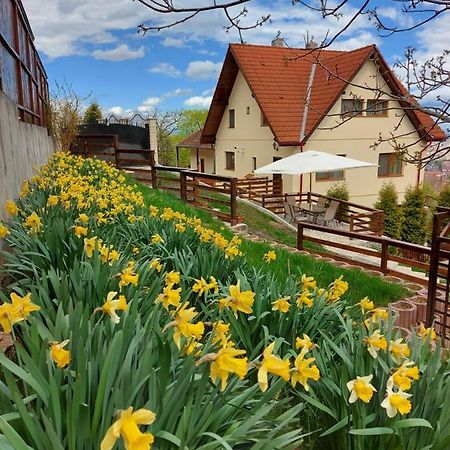 Apartament Matei ブラショフ エクステリア 写真